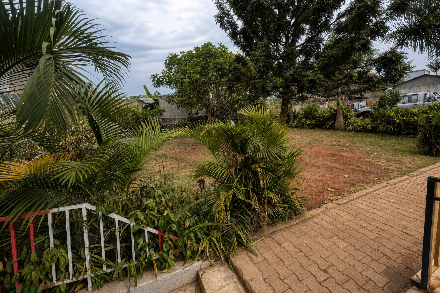 The lawn at Maganjo, edged with palms and a brick path