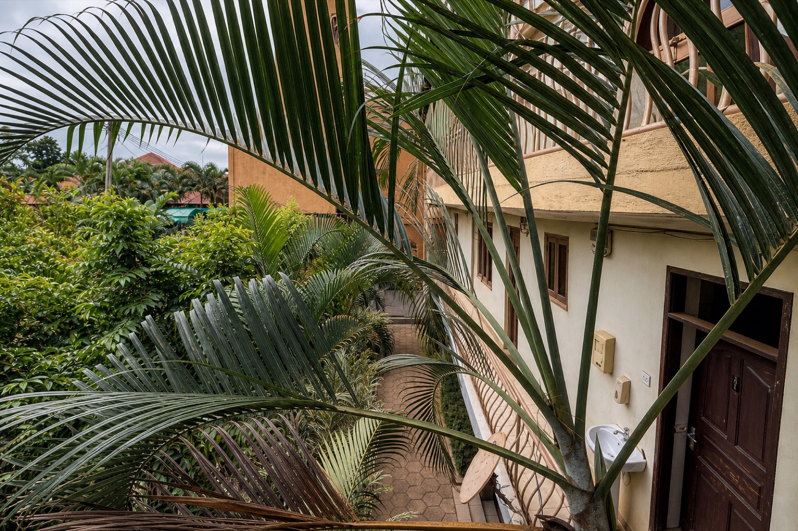 Palms in the courtyard garden beside the rooms at Maganjo